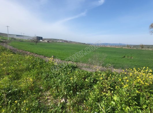 Nilüfer B.Balıklı Mah Kavaklar mevkii yatırım fırsatı satılık tarla